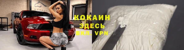 сатива Абаза