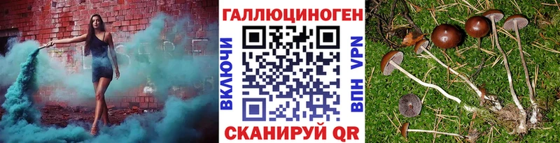 Галлюциногенные грибы Cubensis закладка Агидель